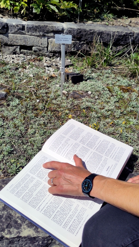 Bestimmungsbuch Pflanzen Botanischer Garten St.Gallen